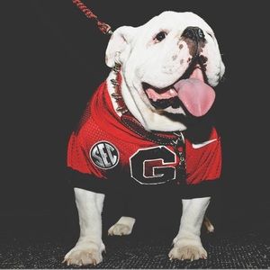 Meet your Posher, Caleb